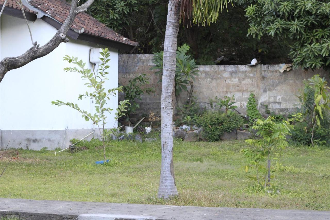 Coconut Beach Bungalows & Warung 2 아메드 외부 사진